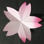 折り紙 桜の折り方・切り方2種 – 幼稚園の入園･卒園式や入学式に【春の花】
