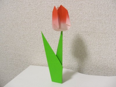 tulip-origami