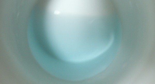 blue-mallow-tea19