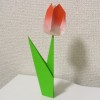 折り紙 チューリップの花と葉とつぼみの折り方【立体・春の花】